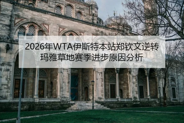 nian-yi-si-te-ben-zhan-zheng-qin-wen-ni-zhuan-ma-ya-cao-di-sai-ji-jin-bu-yuan-yin-fen-xi-2-111.jpg