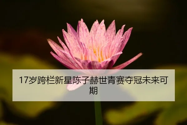 sui-kua-lan-xin-xing-chen-zi-he-shi-qing-sai-duo-guan-wei-lai-ke-qi-3-137.jpg
